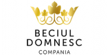 Beciul Domnesc 160x80 1 Parteneri